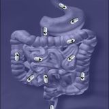 Composición de cápsula endoscópica atravesando el sistema digestivo