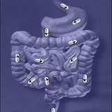 Composición de cápsula endoscópica atravesando el sistema digestivo